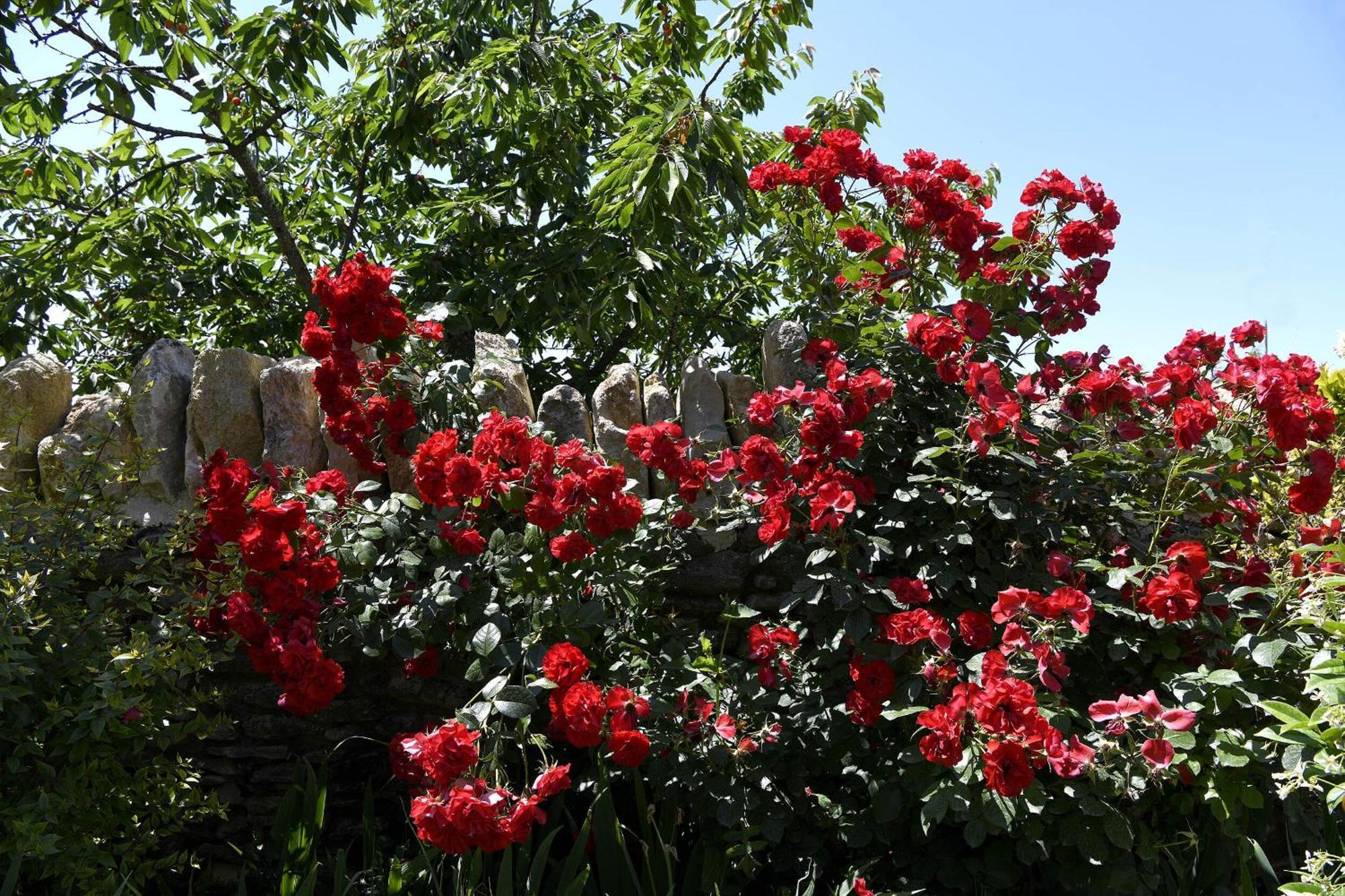 Bastide Des Demoiselles Bed & Breakfast รูสซียง ภายนอก รูปภาพ